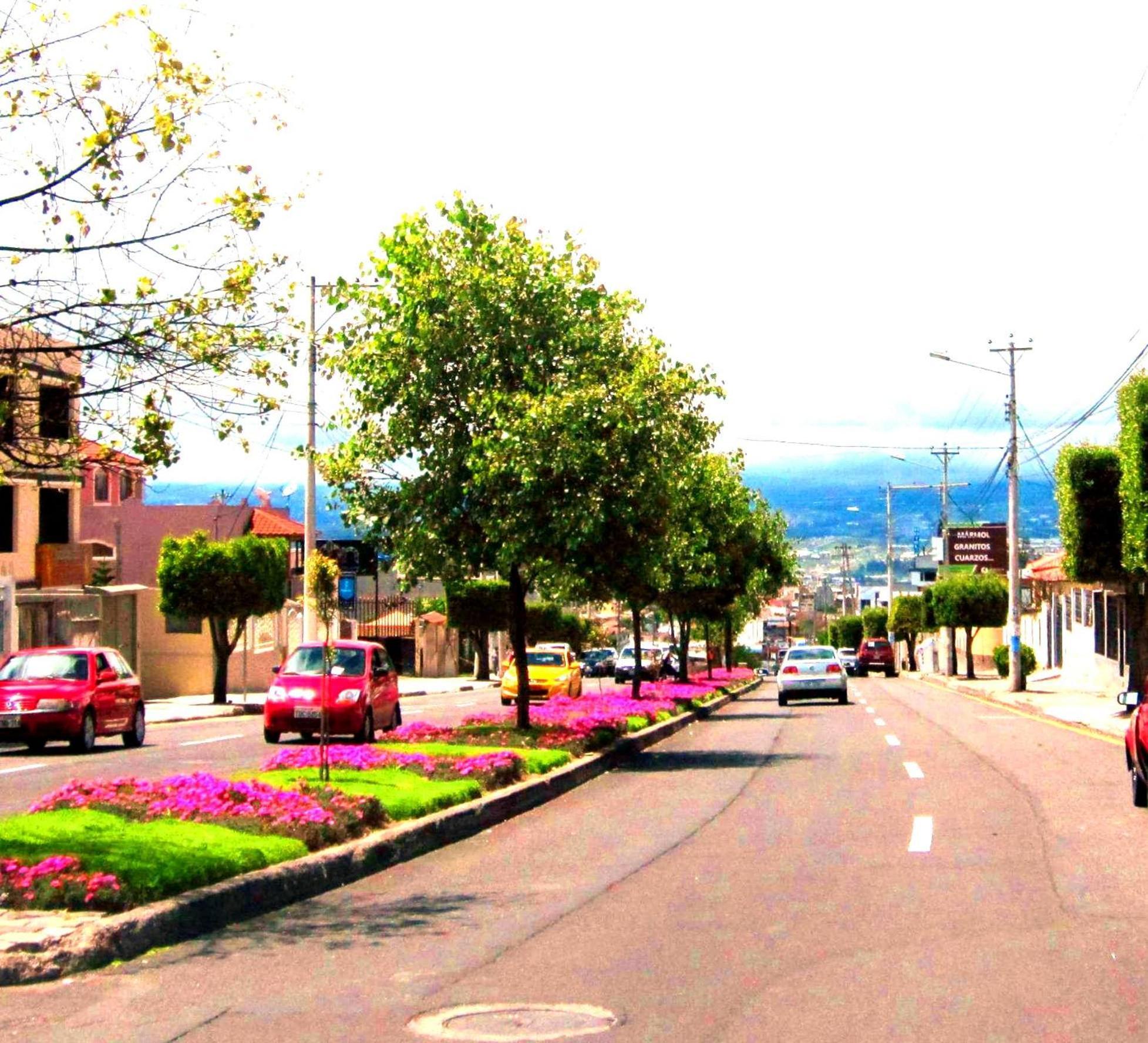 Instant Hotel - Departamento En Ambato Bagian luar foto